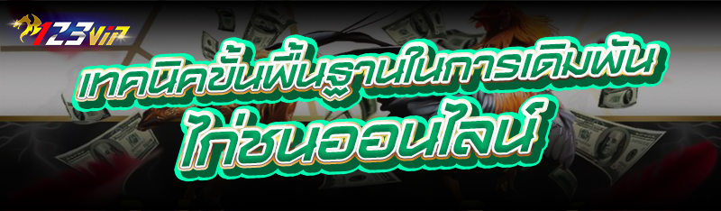 เทคนิคขั้นพื้นฐานในการเดิมพัน ไก่ชนออนไลน์
